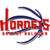 logo hornets basket